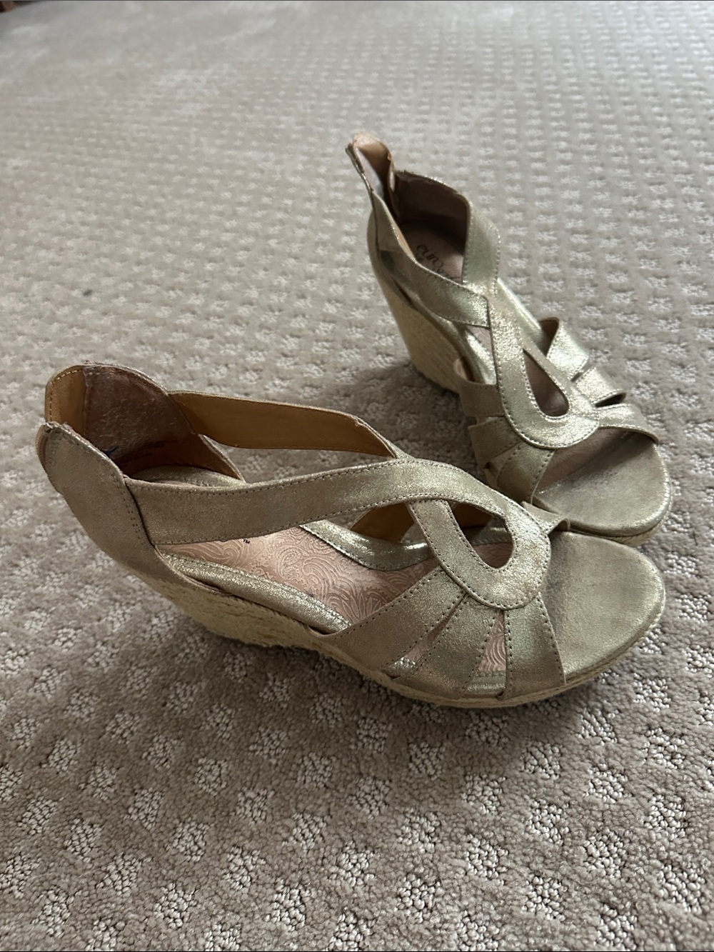 Women's Metallic Gold Wedge Sandals with Crisscross Straps